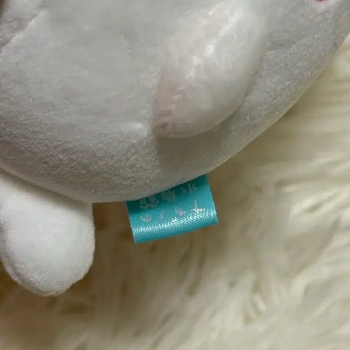 [BUNJANG] Nagano Market Ringed Seal Plush Doll / 나가노마켓 물범 쿠지 인형