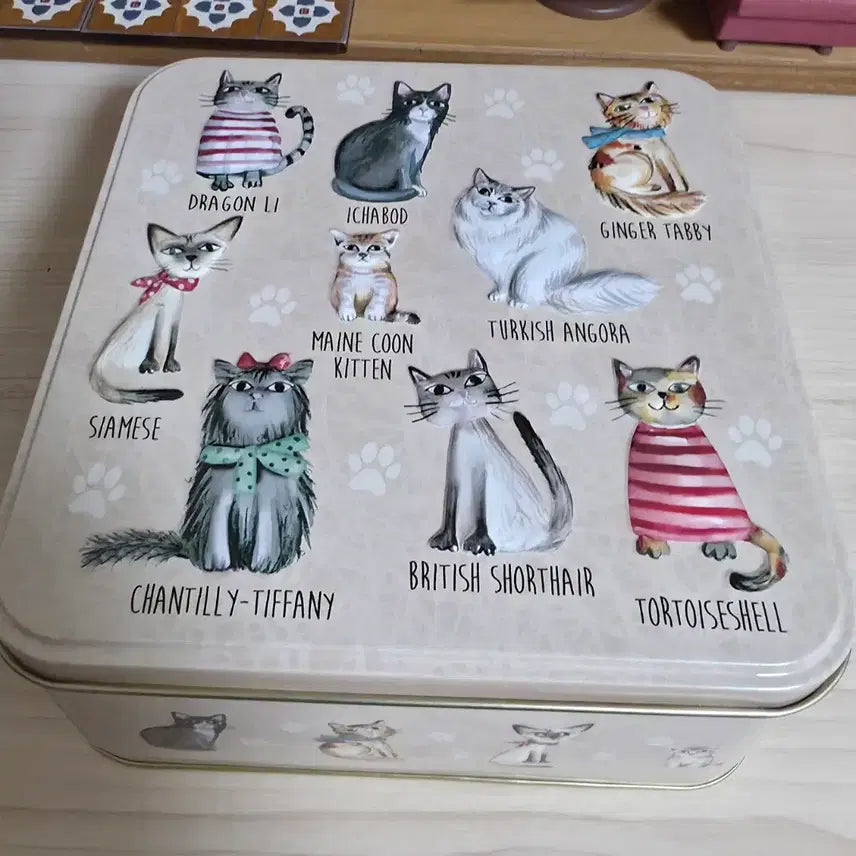 [BUNJANG] Grandma Wilds Cookie Cats Tin Case / 그랜마 와일즈 쿠키 캣츠 틴케이스 (2024)