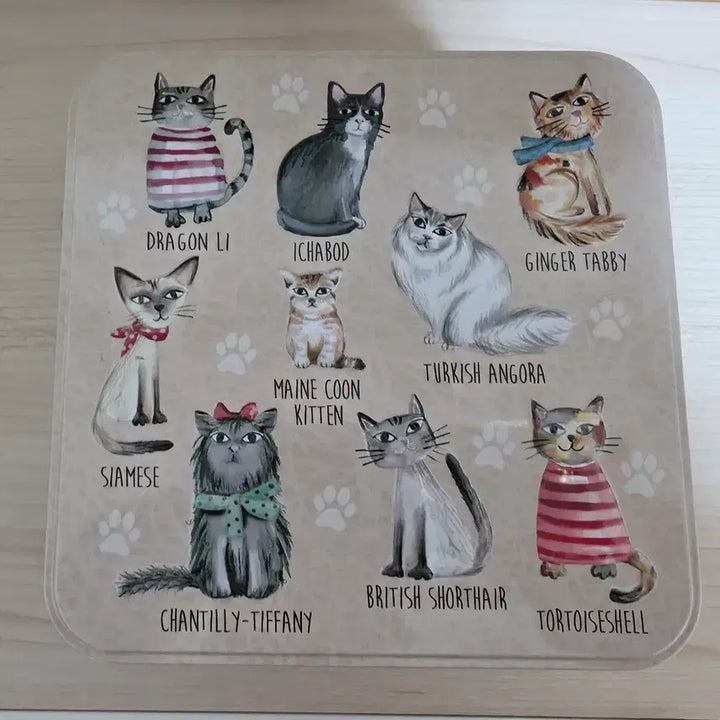 [BUNJANG] Grandma Wilds Cookie Cats Tin Case / 그랜마 와일즈 쿠키 캣츠 틴케이스 (2024)