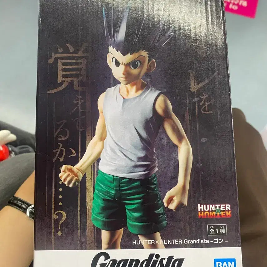 [BUNJANG] Hunter x Hunter Grandista Gon Freecss Figure / 헌터x헌터 그란디스타 곤 피규어