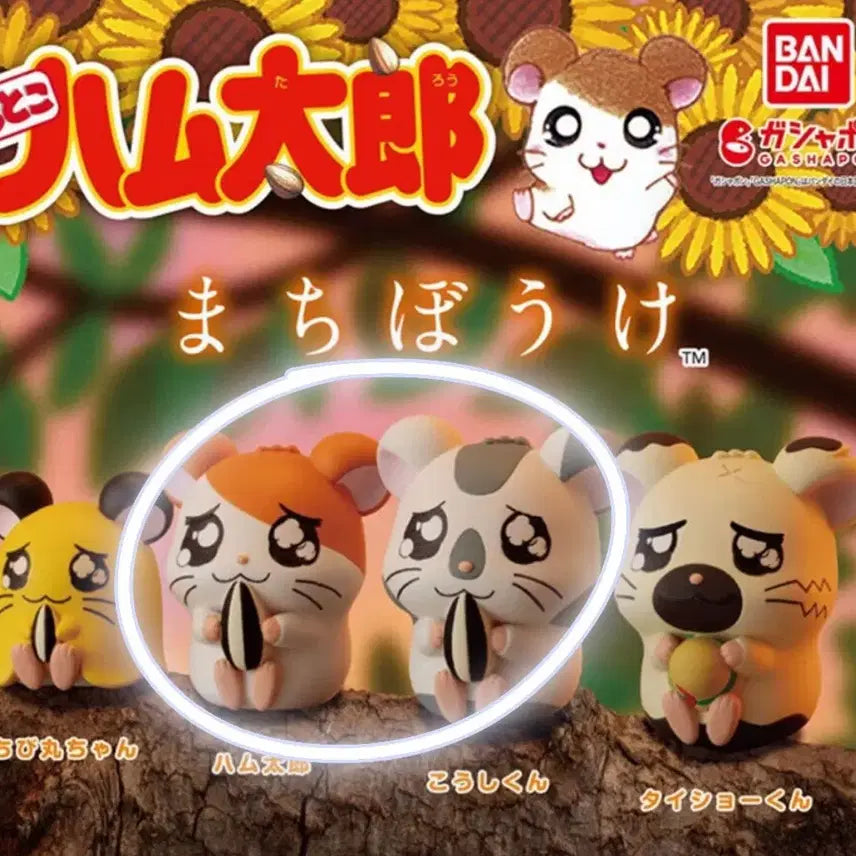 [BUNJANG] Hamtaro Hamtaro Yammy Set / 방가방가 햄토리 마치보케 1탄 햄토리 얌얌이 일괄