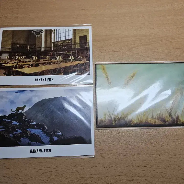 [BUNJANG] Banana Fish Ending Postcard Bundle Set / (일괄) 바나나피쉬 BANANA FISH 엔딩 엽서 등