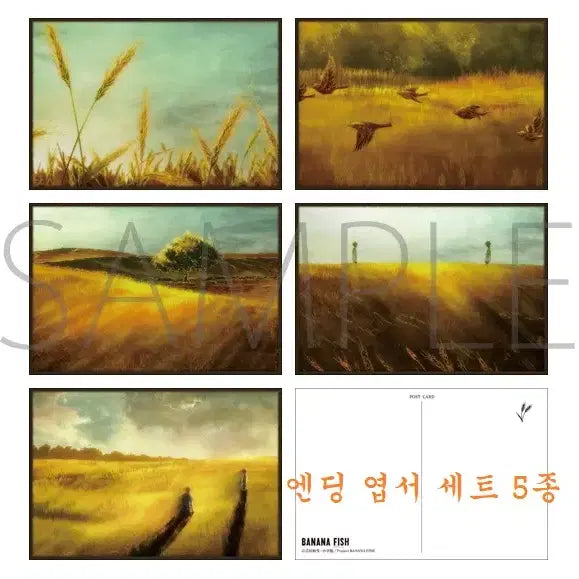 [BUNJANG] Banana Fish Ending Postcard Bundle Set / (일괄) 바나나피쉬 BANANA FISH 엔딩 엽서 등