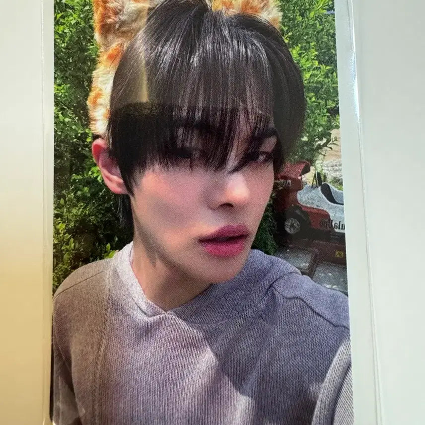 [BUNJANG] Cementic Nest AD1 Cat Headband Mini Record Exclusive Leo / 알파드라이브원 ad1 Cementic Nest 고양이머리띠 미니레코드 특전 리오