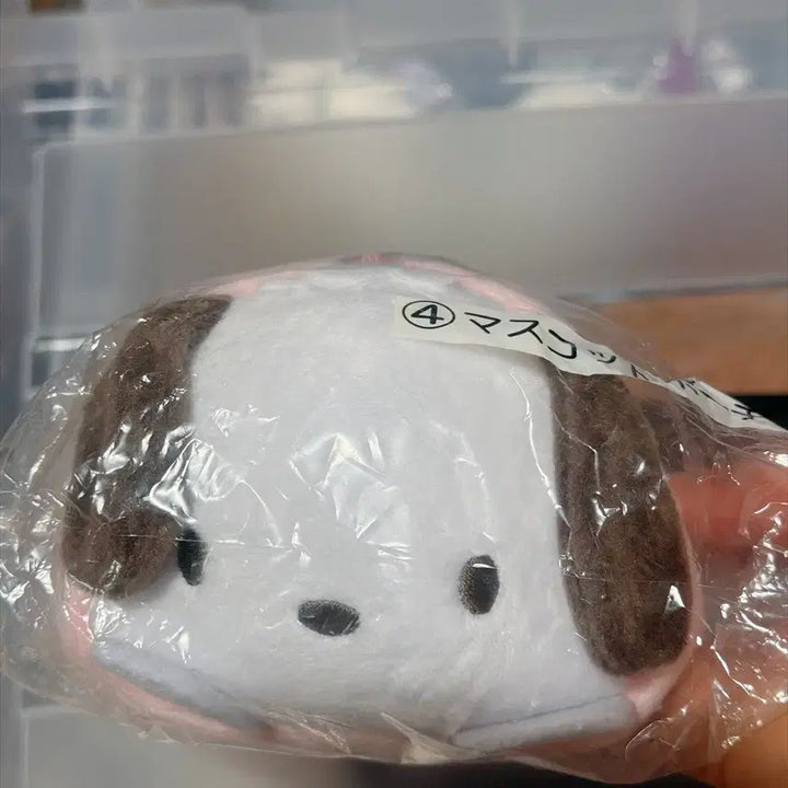 [BUNJANG] Sanrio Pochacco Plush Pouch (Sealed) / (미개봉) 산리오 아타리쿠지 포차코 인형 파우치