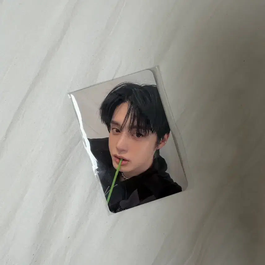 [BUNJANG] ZEROBASEONE Kim Ji Woong Photocard / 김지웅 포토카드