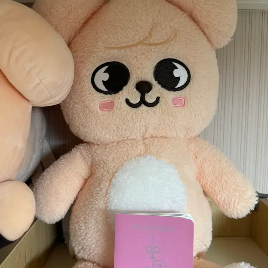 [BUNJANG] Stray Kids Seungmin Teddy Bear Doll / (수수료포함) 퍼핌 테디베어 스키즈 스키주 인형 스트레이키즈 승민