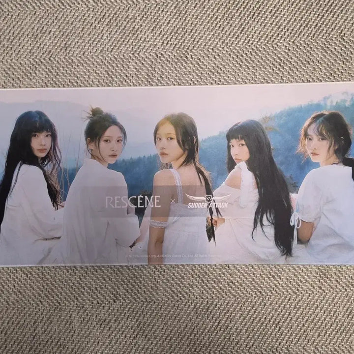 [BUNJANG] RE:SINE x Sudden Attack Mousepad / 리센느 x 서든어택 마우스 장패드(싸인X)