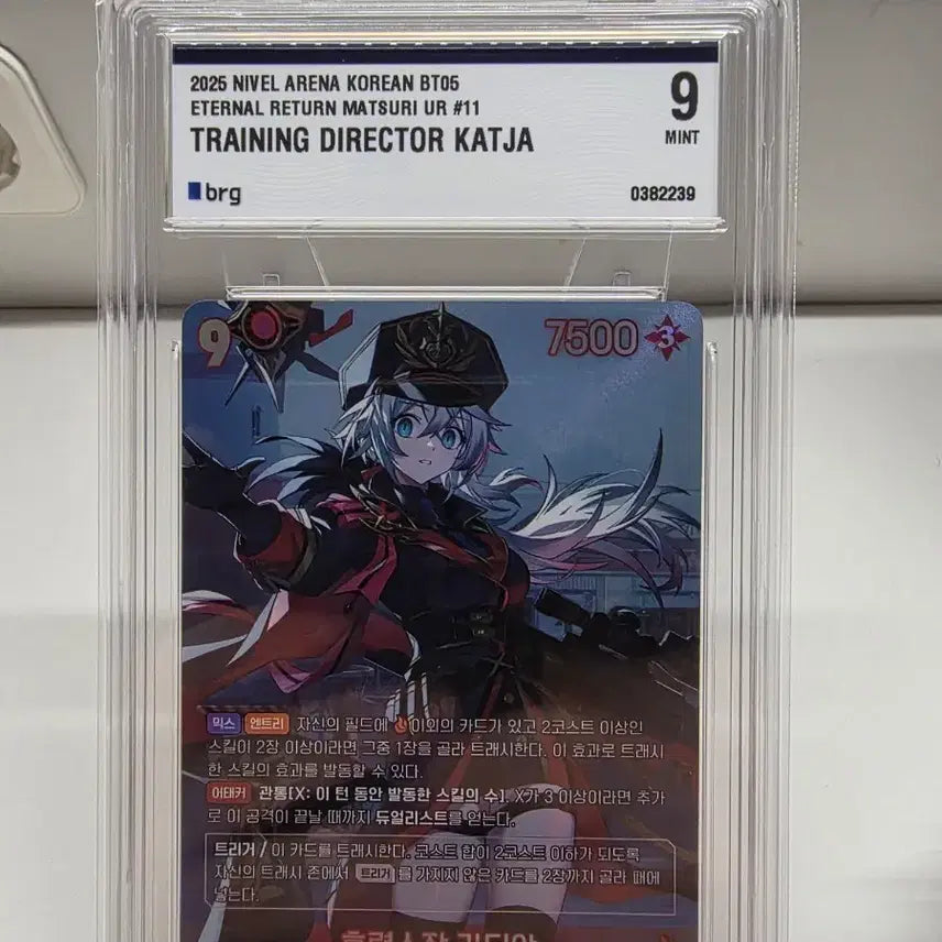 [BUNJANG] Nibel Arena Katya UR BRG9 / 니벨아레나 카티야 ur brg9