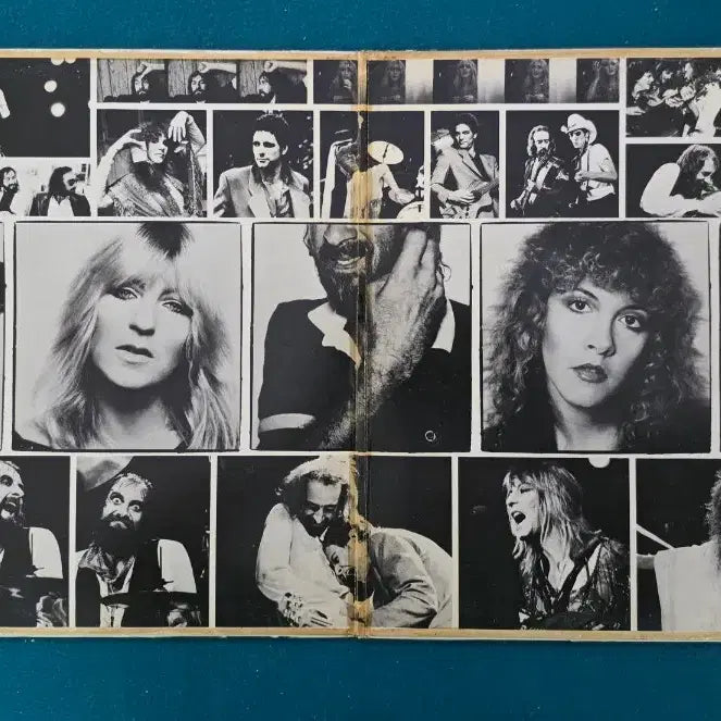 [BUNJANG] Fleetwood Mac Live Album LP / 플리트우드 맥 - 라이브 앨범 LP