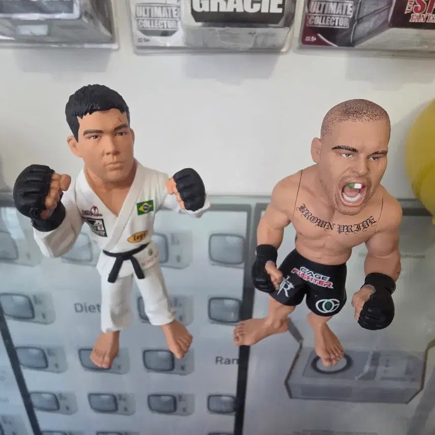 [BUNJANG] UFC Fighting Championship Figurine Set / ufc피규어