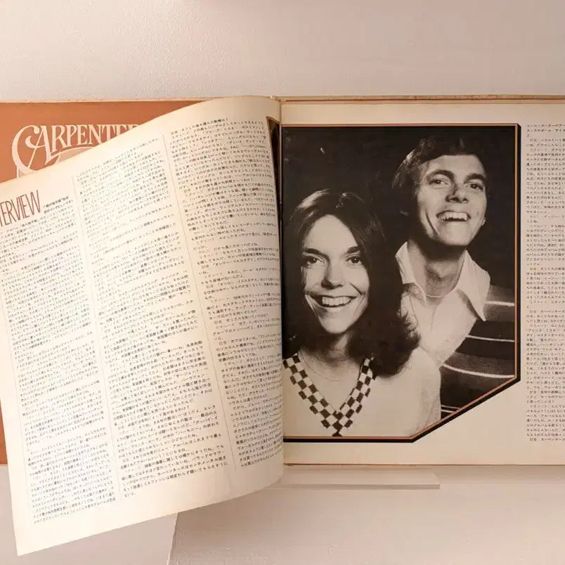 [BUNJANG] The Carpenters Best 2LP Vinyl Record / 총24곡 수록 2LP 카펜터스 베스트 레코드 Carpenters