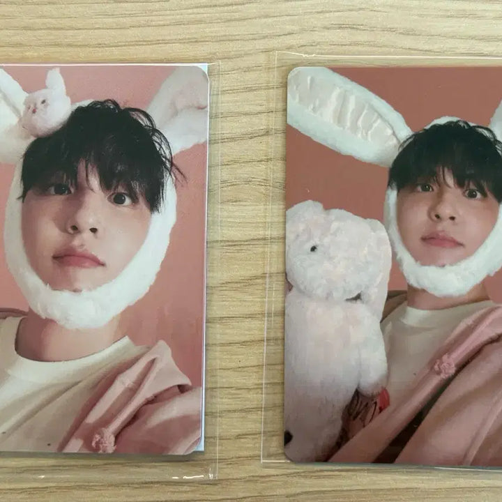 [BUNJANG] DAY6 Wonpil Rabbit Photocard / 데이식스 원필 토끼포카 양도