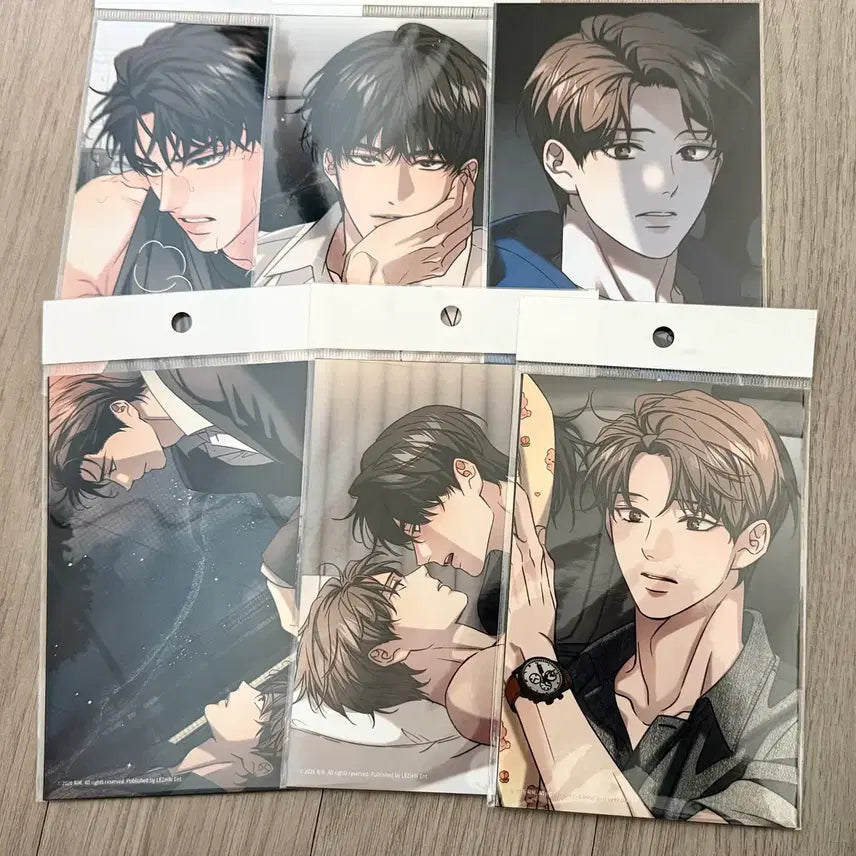 [BUNJANG] Rebom Haebing Curve Photo Set (6 Types) Bundle Set / 레봄 해빙곡선 인화사진 6종 일괄
