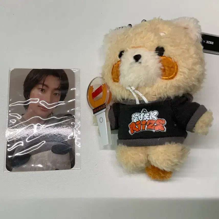 [BUNJANG] EVERGLOW Recipe Anton Ver. Photocard Set / 에버라이즈 레시피 앤톤ver