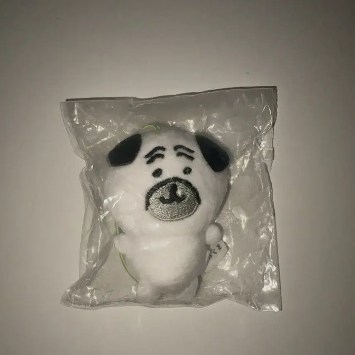 [BUNJANG] Nagano Joke Bear Pug Plush / 나가노 농담곰 퍼그 인형