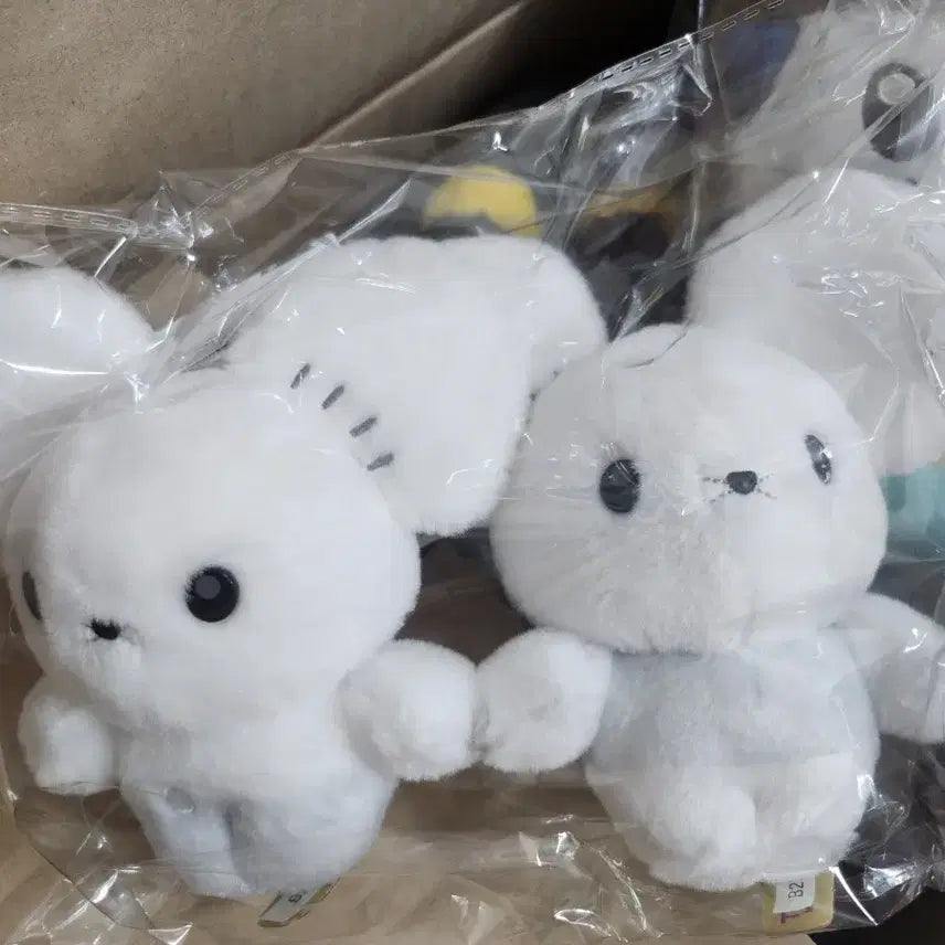 [BUNJANG] Pokemon "Choose You!" Dori-Dori Plush Doll / 택포) 포켓몬스터 두리쥐 너로정했다! 인형 누이 피규어 카드 키미니 쿠지 포켓몬센터