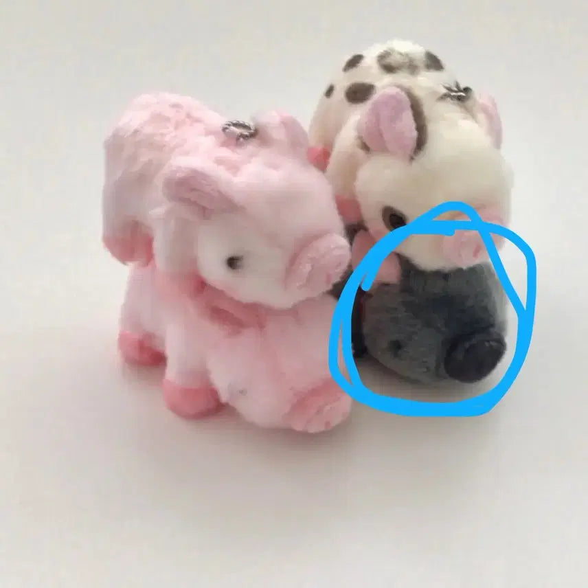 [BUNJANG] Micro Pig Gacha / (미개봉) 마이크로 피그 돼지 가챠