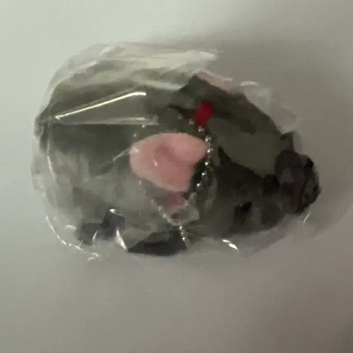 [BUNJANG] Micro Pig Gacha / (미개봉) 마이크로 피그 돼지 가챠