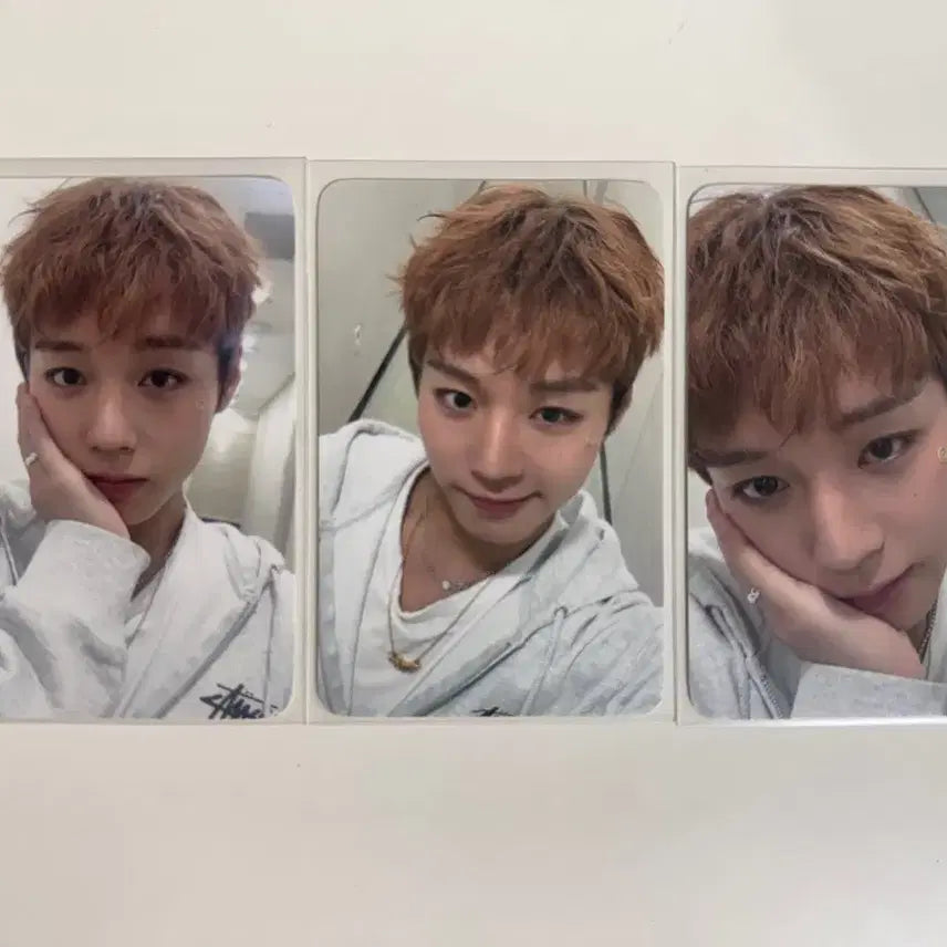 [BUNJANG] Park Ji Hoon Fancon Photocard / 박지훈 팬콘 포카