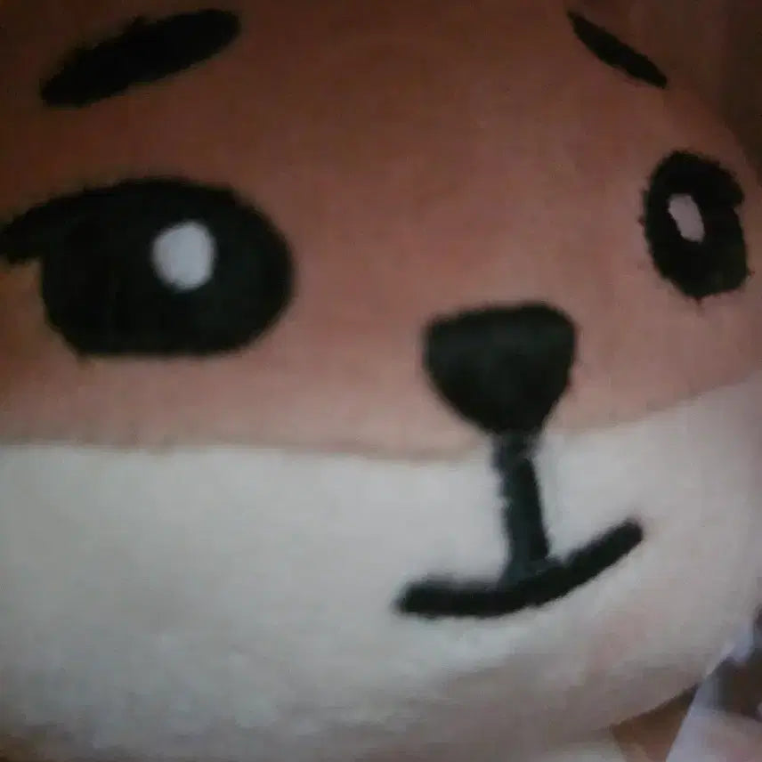 [BUNJANG] DAY6 DENIMALS Young K Plush / 데이식스 데니멀즈 인형 케