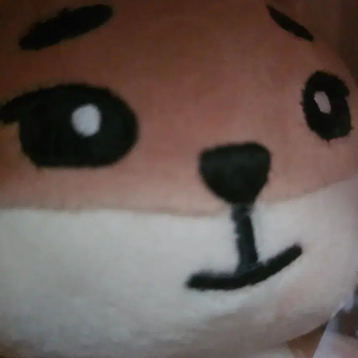 [BUNJANG] DAY6 DENIMALS Young K Plush / 데이식스 데니멀즈 인형 케