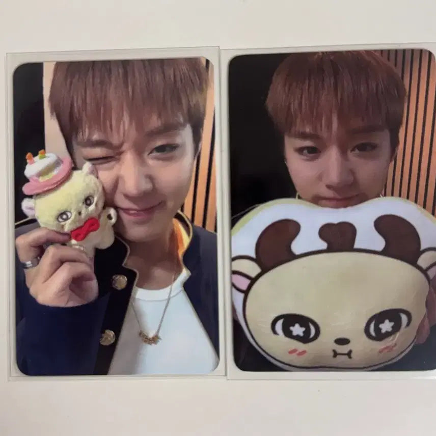 [BUNJANG] Park Ji Hoon &