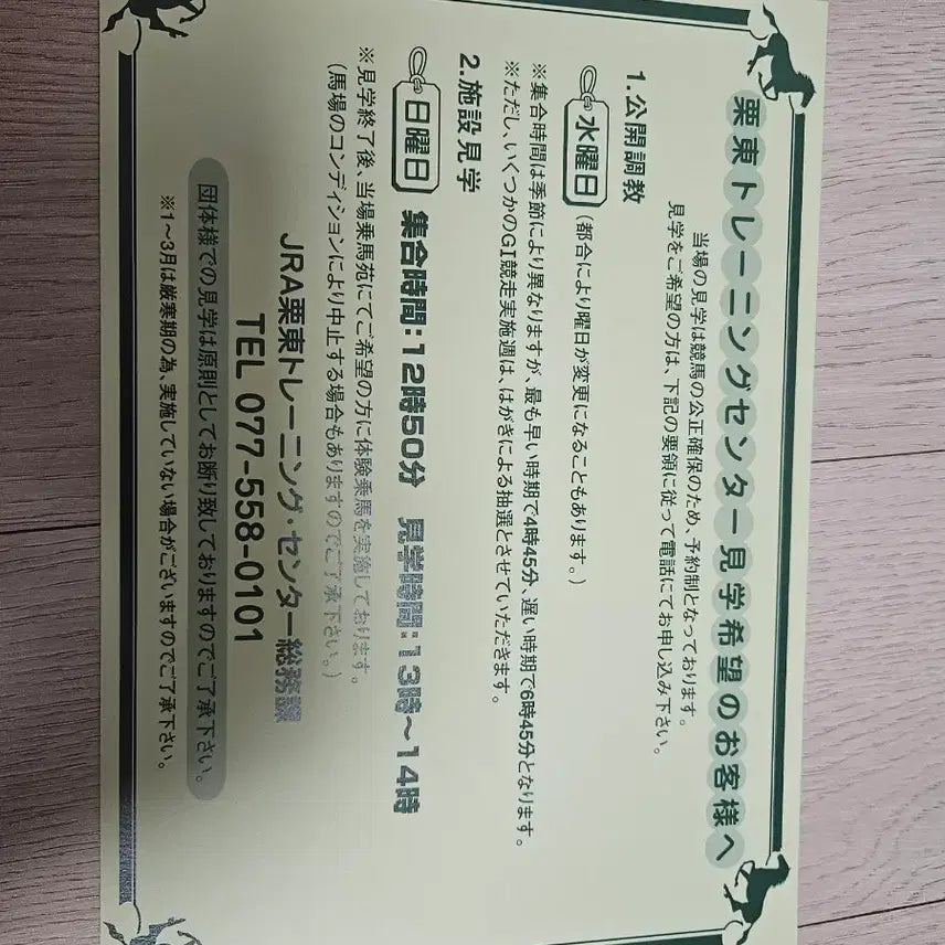 [BUNJANG] Tanino Gimlet Horse Sticker / 타니노김렛 스티커 경주마  우마무스메 원본마