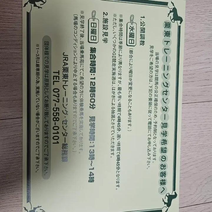 [BUNJANG] Tanino Gimlet Horse Sticker / 타니노김렛 스티커 경주마  우마무스메 원본마