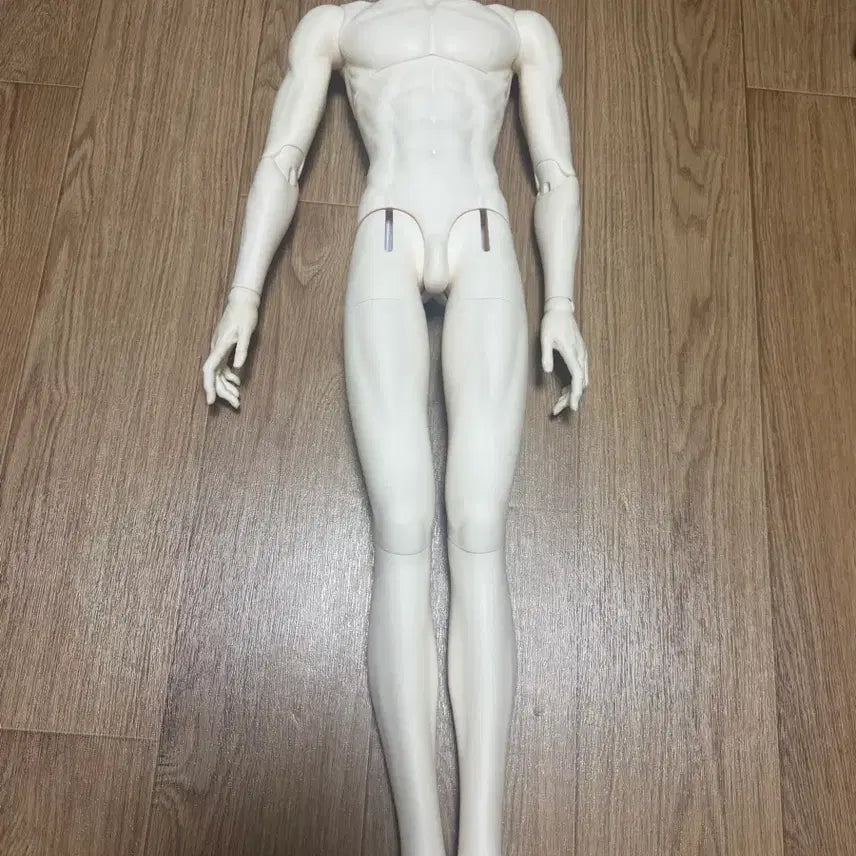[BUNJANG] Dolltz 70 Body Water Type Doll / 돌리츠 70바디 물포