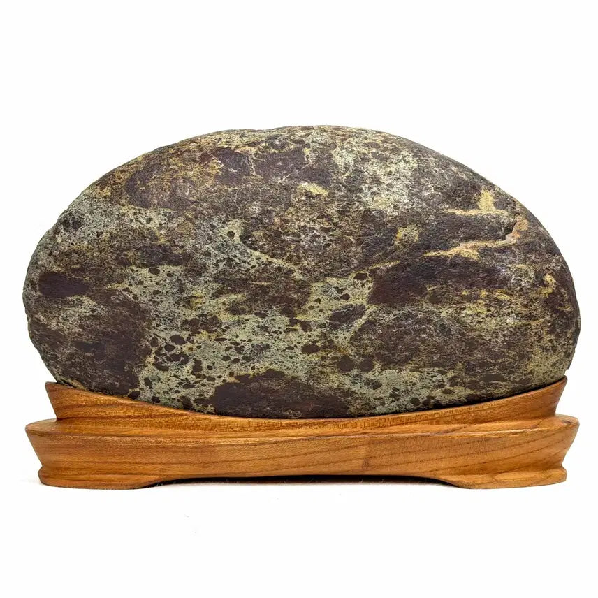 [BUNJANG] Socheongdo Pattern Stone Water Stone / <탐석> 소청도 문양석 수석