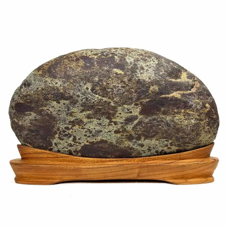 [BUNJANG] Socheongdo Pattern Stone Water Stone / <탐석> 소청도 문양석 수석