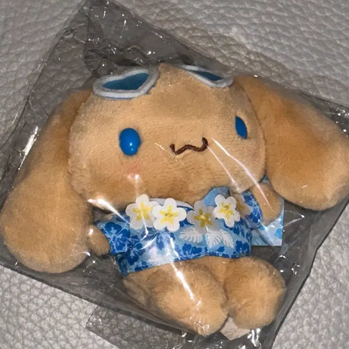 [BUNJANG] Sanrio Cinnamoroll Tanning Plush / 태닝 시나모롤 산리오 인형 누이 양도