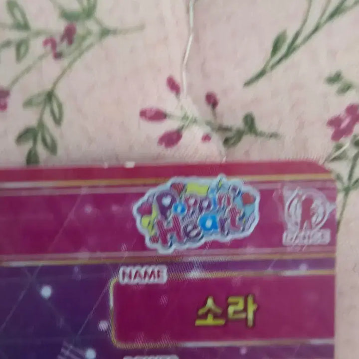 [BUNJANG] IFREE Shh Card Sora Photocard / 아이프리 쉿카드 소라 판매 급전 처분