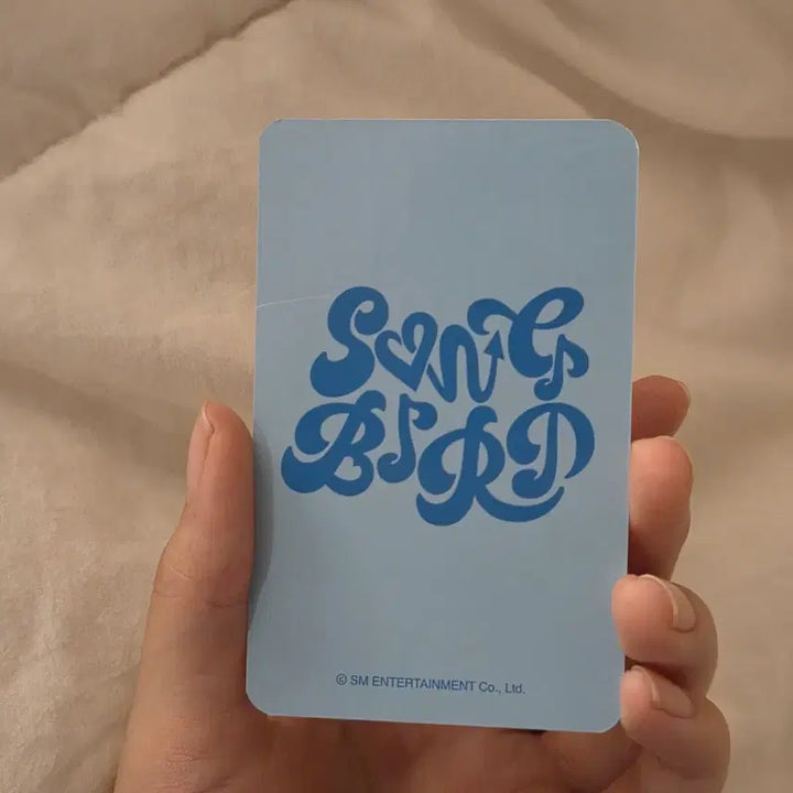 [BUNJANG] OLMD Riku Photocard POB (Damaged) / 뒷면 하자O)올엠디 리쿠 포카 미공포