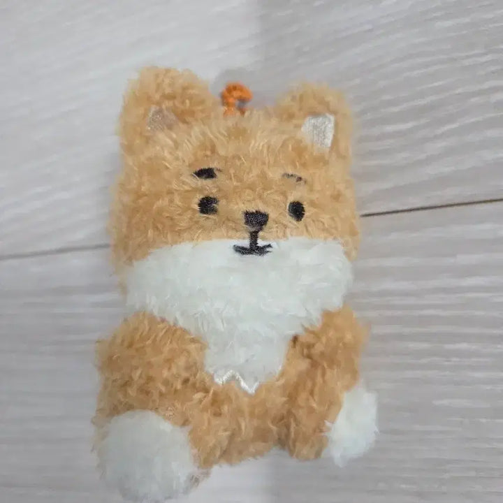 [BUNJANG] Day6 Petitmerls Sitting Plush / 데이식스 쁘띠멀즈 앉은 케