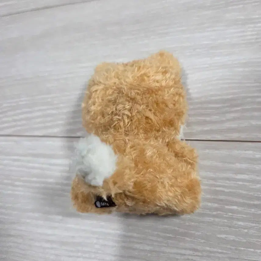 [BUNJANG] Day6 Petitmerls Sitting Plush / 데이식스 쁘띠멀즈 앉은 케