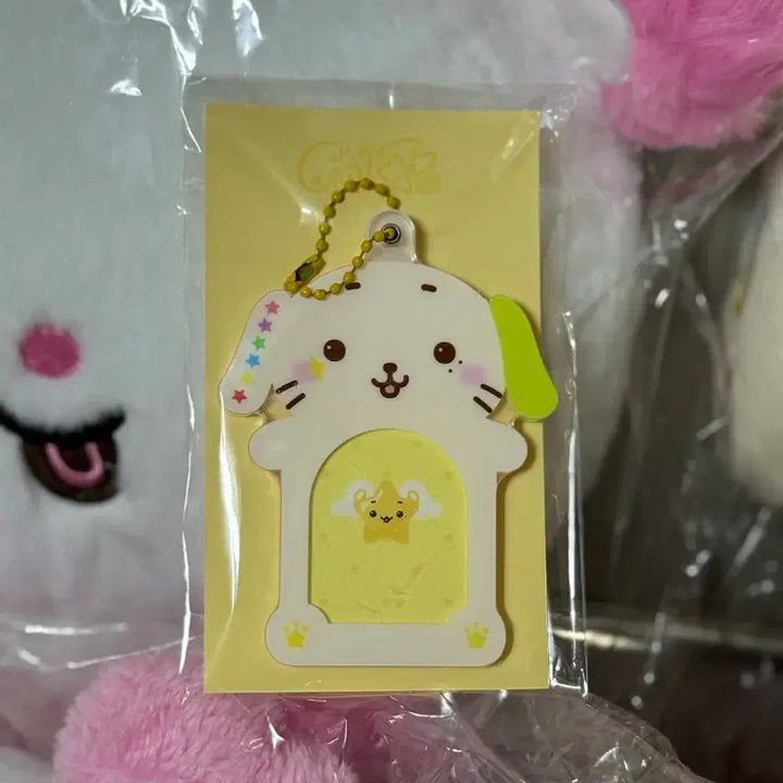 [BUNJANG] Ryo ID Photo Holder / 료 아이디 증사 포토홀더 룐룐