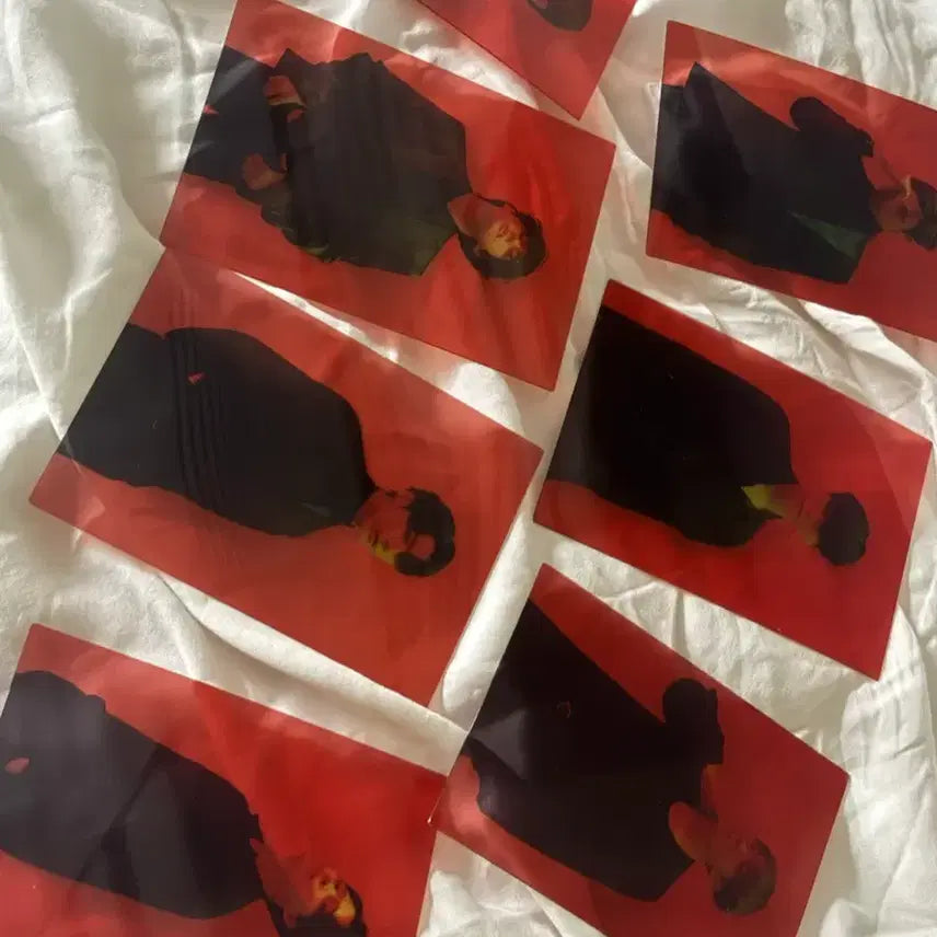 [BUNJANG] BTS Photocard Bundle Set / 방탄소년단 포토카드 사진 7개일괄