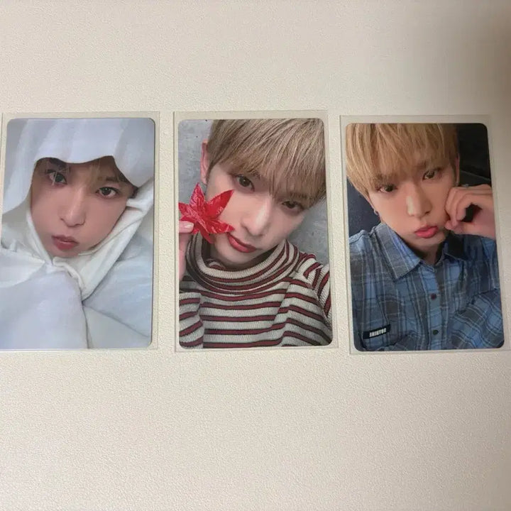[BUNJANG] &amp;TEAM Harua Photocard Bundle Set (25 pcs) / 앤팀 하루아 포카 25장 일괄 (앨포 특전 미공포 럭드 럭키드로우 퍼스트하울링 쥬고야 주고야 시즌그리팅 시그 앤데이 3주년 등