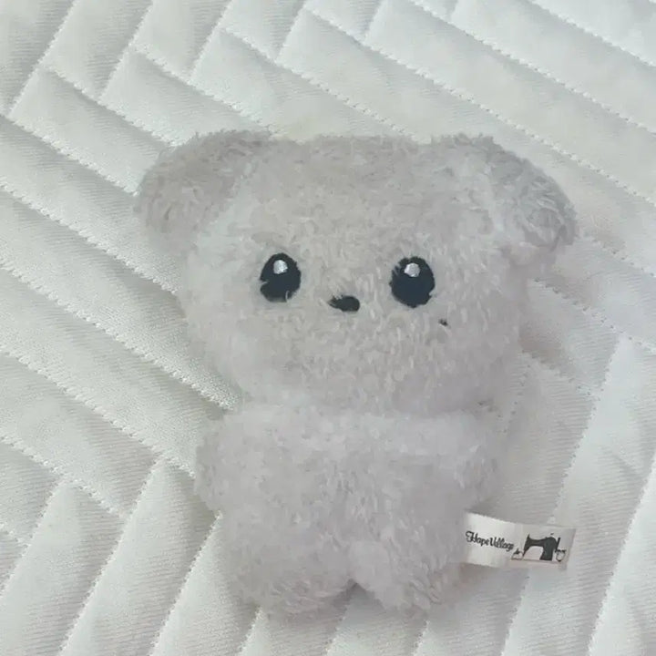 [BUNJANG] Cloud Jelly Jungwoo Doll / 구름쩡 정우 인형