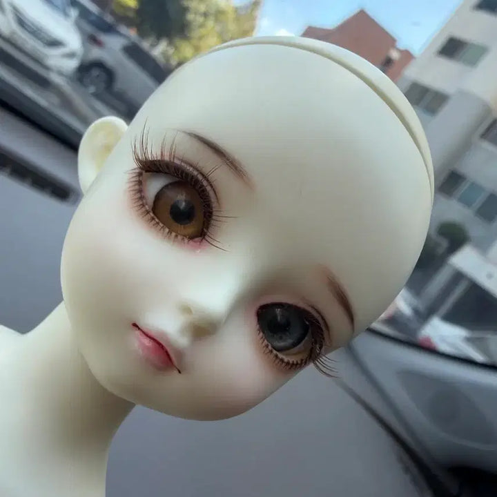 [BUNJANG] Dolls and Amber Ball-Jointed Doll / 돌스앤 엠버 구체관절인형