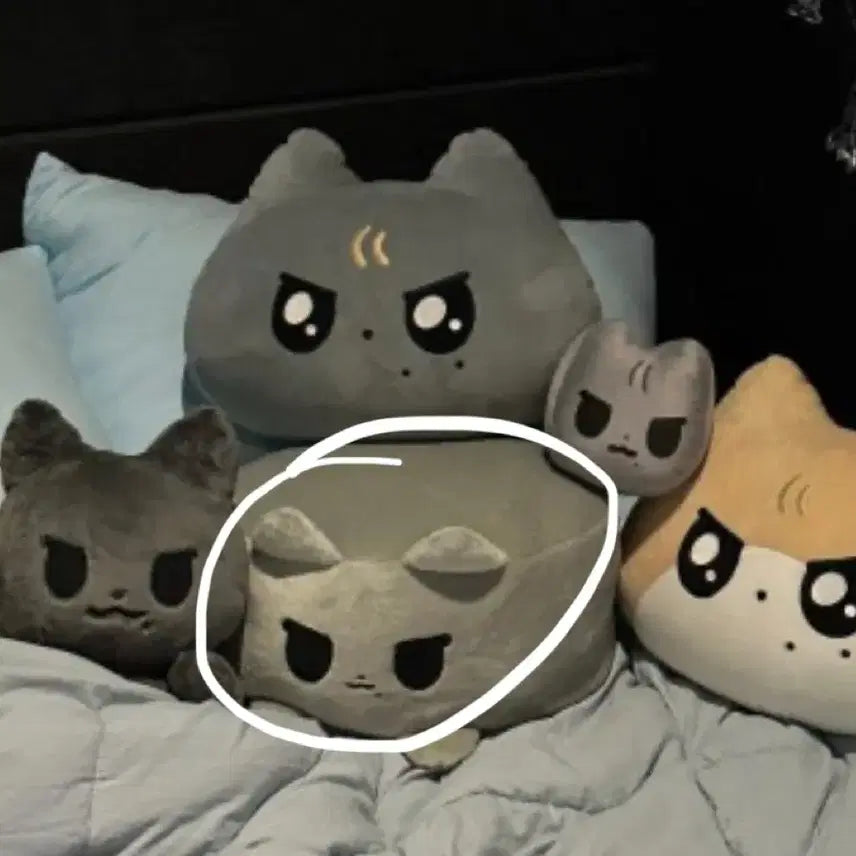 [BUNJANG] Jjingmyungie Plush / 찌먕이 인형