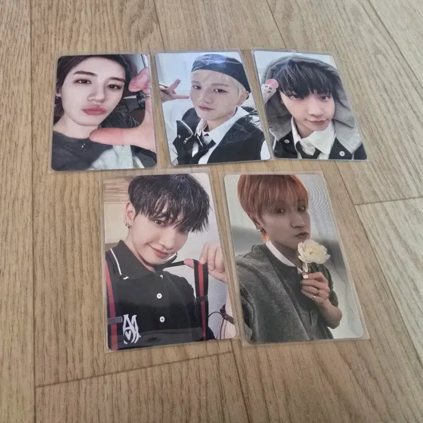 [BUNJANG] BOYNEXTDOOR Photocard / 보이넥스트도어 포카 팝니다