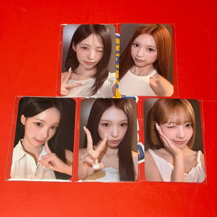 [BUNJANG] Resene Photocard 5-Set / 리센느 포토카드 5종 세트