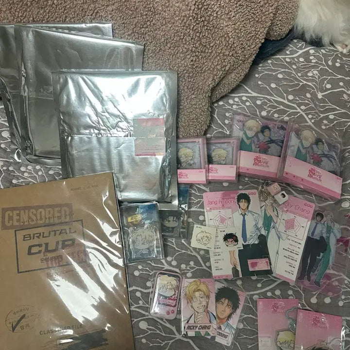[BUNJANG] Unbreakable Champion Merchandise Bundle Set / 불굴의 챔피언 굿즈 일괄 양도
