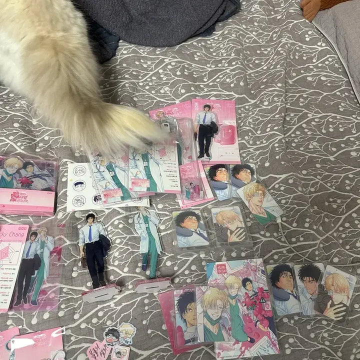 [BUNJANG] Unbreakable Champion Merchandise Bundle Set / 불굴의 챔피언 굿즈 일괄 양도