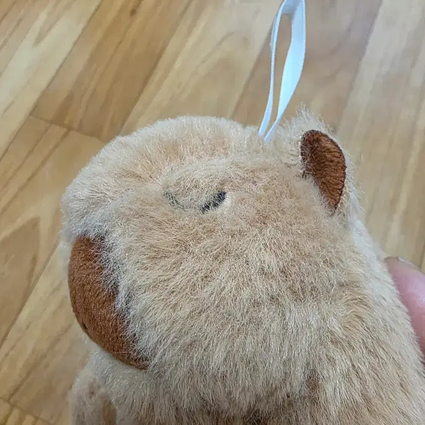 [BUNJANG] Banwonus Capybara Plush / 반원더스 카피바라 봉제인형