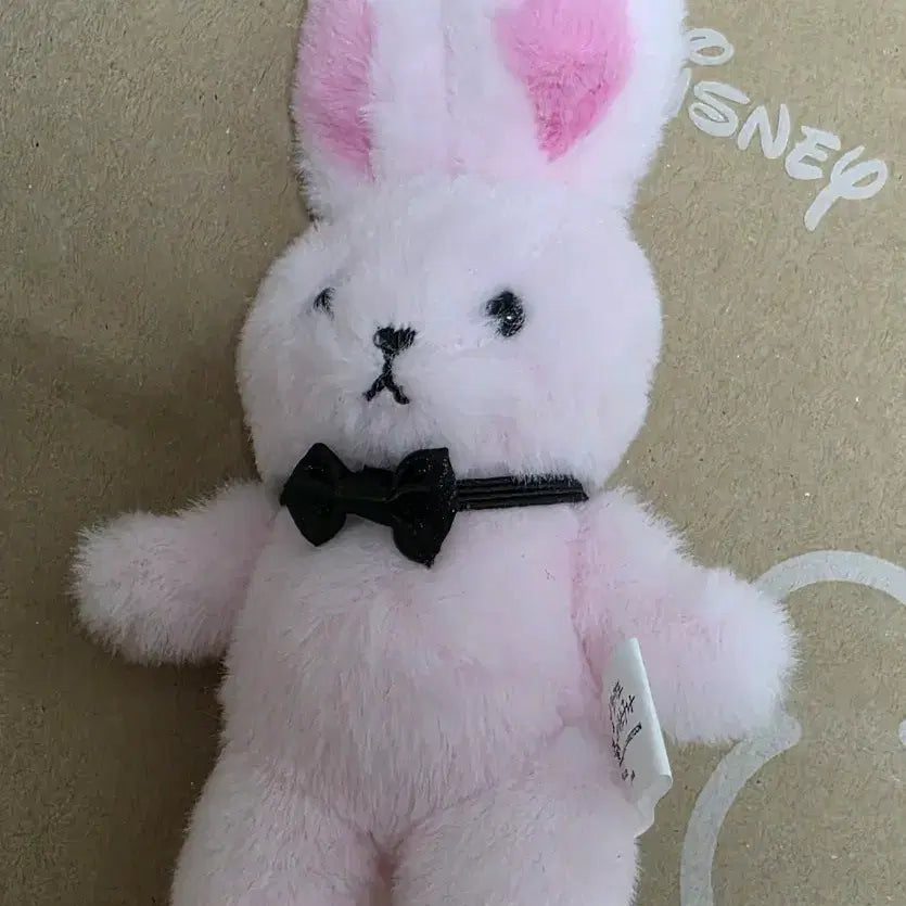 [BUNJANG] Line Friends Brown Official Doll / 괴담출근 괴출 착한친구 브라운 공식인형