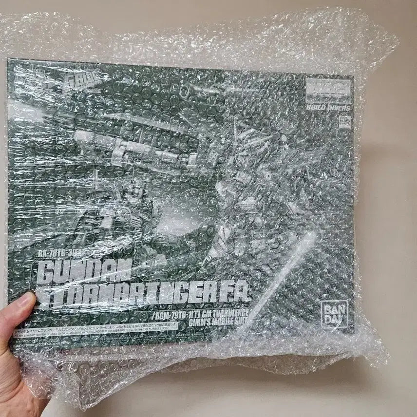 [BUNJANG] MG Gundam Stormbringer FA Sealed / MG 건담 스톰브링거FA 미개봉